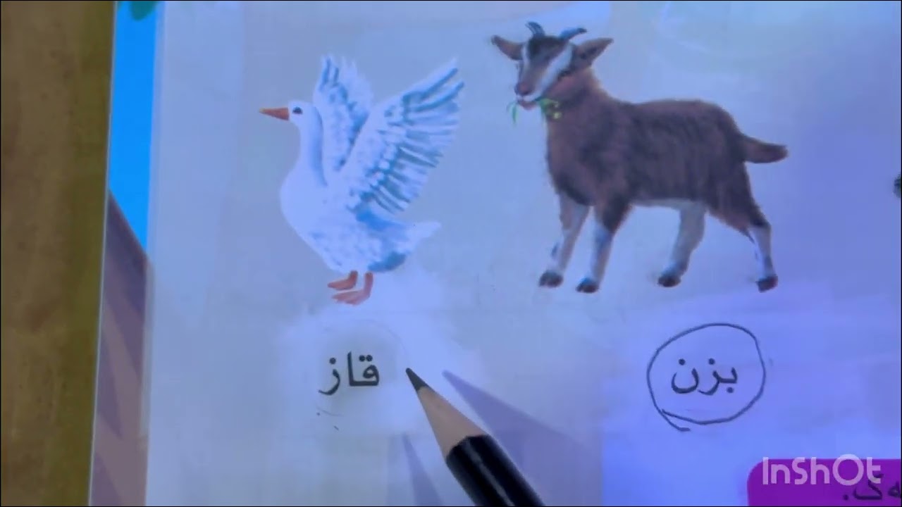 خوێندنی کوردی /قوناغى بنه ڕەتی /پۆلی یەکەم  /وەرزی یە کەم /بابەتی مۆز -پیتی (ز)