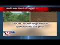 Revenue officials give away forest land to private parties
