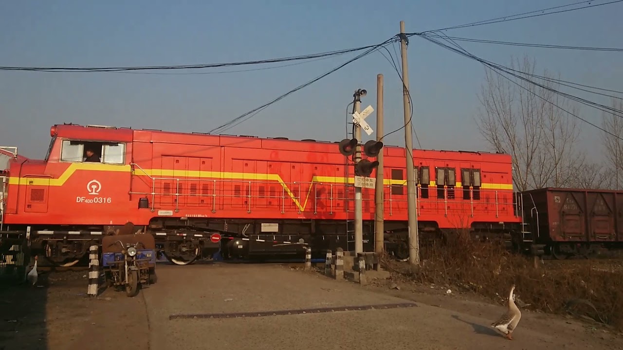 China railway-Railway crossing, train with geese-道口，火车与鹅