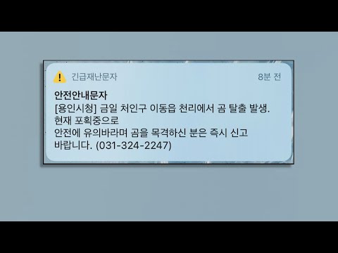 용인 곰 사육농장서 2마리 탈출…1마리 사살 / 연합뉴스TV (YonhapnewsTV)