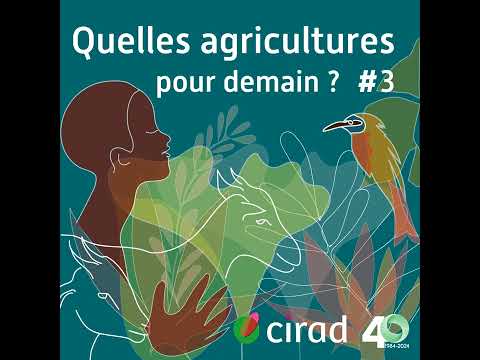 Du carbone dans mon champ #3 | Quelles agricultures pour demain ?