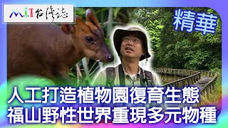 人工打造植物園復育生態 福山野性世界重現多元物種｜宜蘭縣員山鄉 麥覺明【@ctvmit841集】