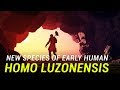 New species of early human discovered in the Philippines