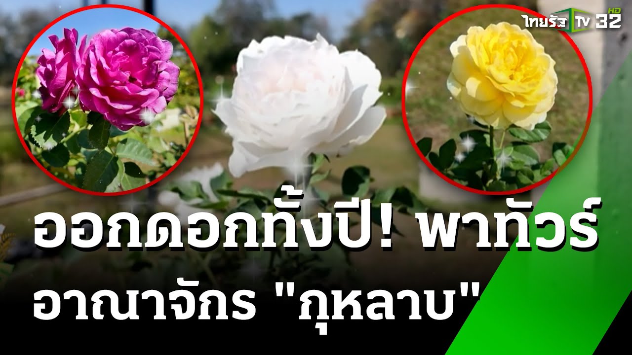 ออกดอกทั้งปี! พาทัวร์ อาณาจักร 