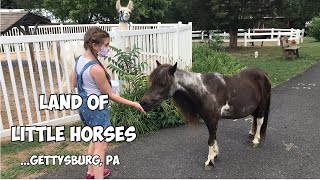 Land Of Little Horses- Gettysburg Pa
