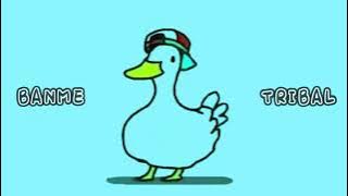 TRIBAL TIK TOK