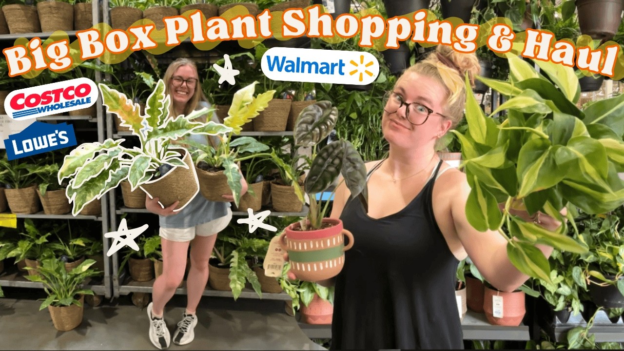 New RARE $15 Plants at Costco, Walmart & Lowe's  Big Box Plant Shopping  Finds 2025  PLANT HAUL!