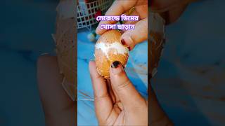 সেকেন্ডে ডিমের খোসা ছাড়ান 😱 #viralshort #trending #highilts #popular #egg #tips #youtubeshorts