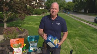 Pat Sullivan's tips for last-minute fall projects
