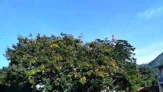 Hotel Sri Baling Inn industrial training