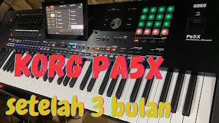 KORG PA5X Review OS 1.2.1 Kelebihan dan Kekurangan setelah 3 Bulan Pemakaian