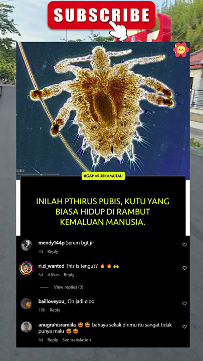 Kutu kemaluan biasanya menular melalui kontak intim antarmanusia, biasanya melalui hubungan sek