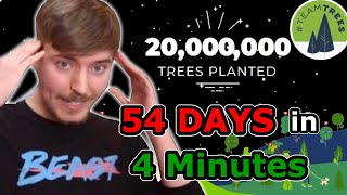 TeamTrees Hitting 20 Million Trees Planted!!