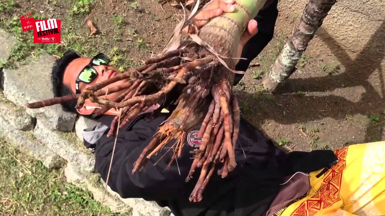 RFCH Family. Dabla. 2. Vini film festival on Tntv 2013