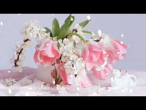 Romance D'amour 🎵🌹HAUSER