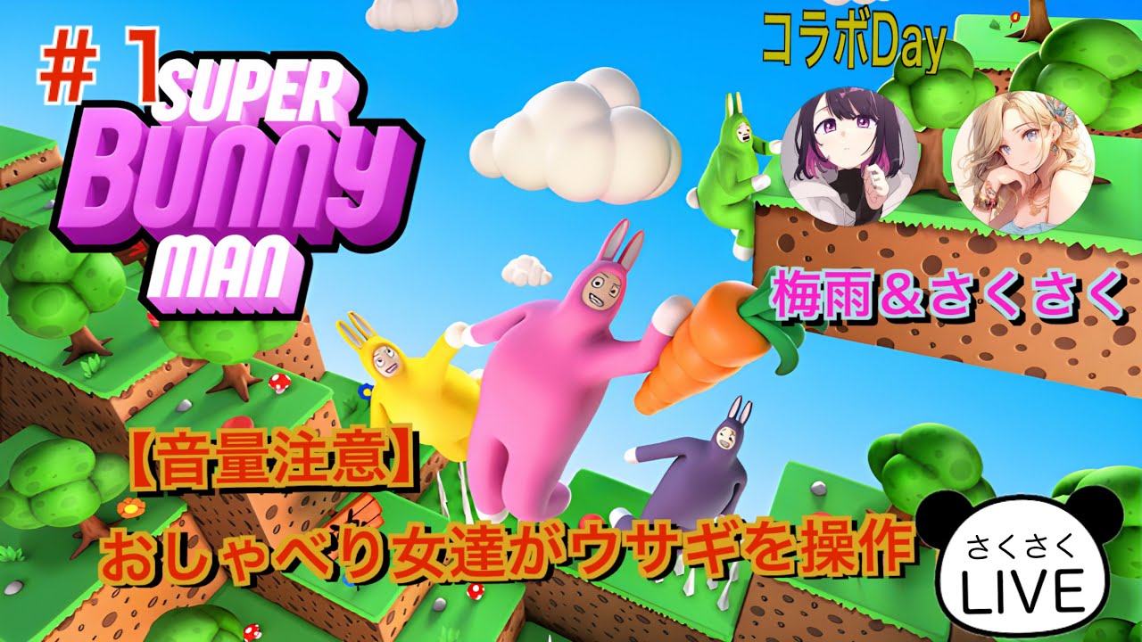 お腹痛いほど笑っちゃう！！おしゃべり女２人がウサギを操作する！スーパーバニーマン#1（Hilarious! Two women control a rabbit.“Super Bunny Man”)