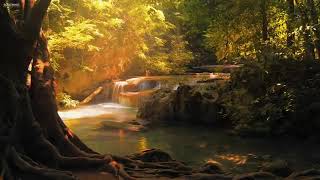 ⁣10 ore de muzică relaxantă • Muzică calmantă • Muzica de pian și chitară • Muzică pentru somn