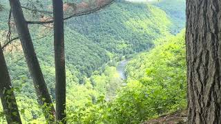 Pennsylvania Grand Canyon from Colton point State Park and Leonard Harrison State Park June 23 2026