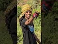 Wbo Oromo Finfinnee Abo Wbo Jaal Maarroo Omni Shortvideo