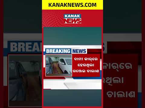 195 Kg Ganja Seized in Berhampur | 3 Arrested in Luxury Cars