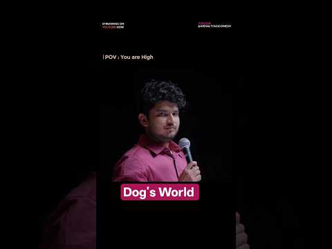 Stray Dogs of Delhi #standupcomedy #2026 #january #dogs #dogshorts #funny #fyp #relatable #roast
