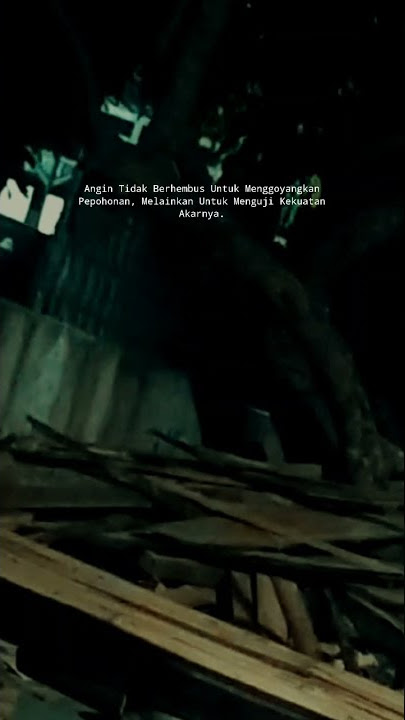 Story Wa - Angin Tak Berhembus | Snap Wa | Status Wa | Viral DiTikTok