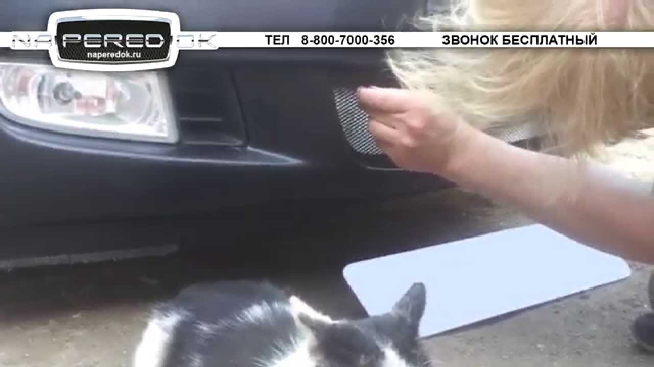 Защита хонда цивик