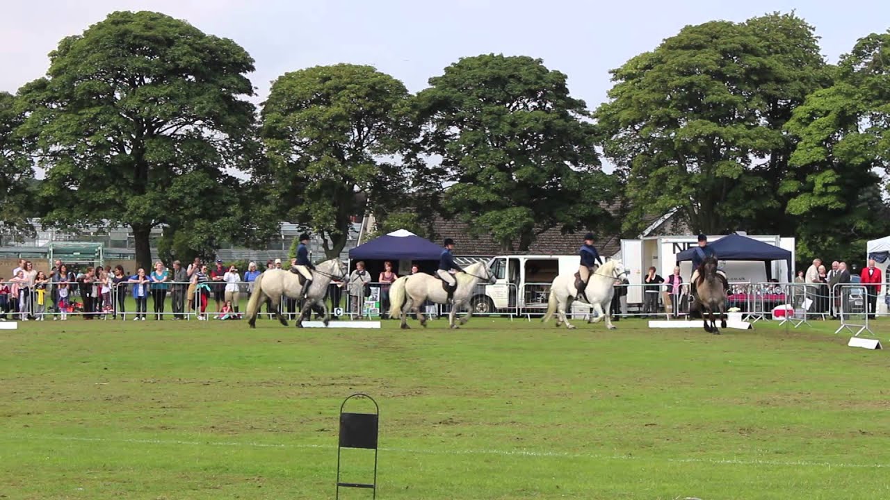 Highland Pony Drill Ride at Duthie Park - YouTube
