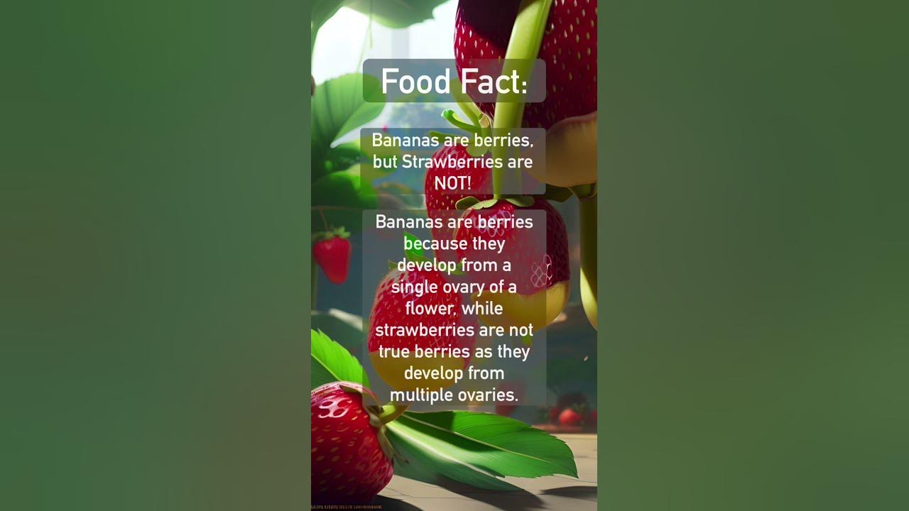 Are Bananas Really Berries? The Surprising Classification of Bananas