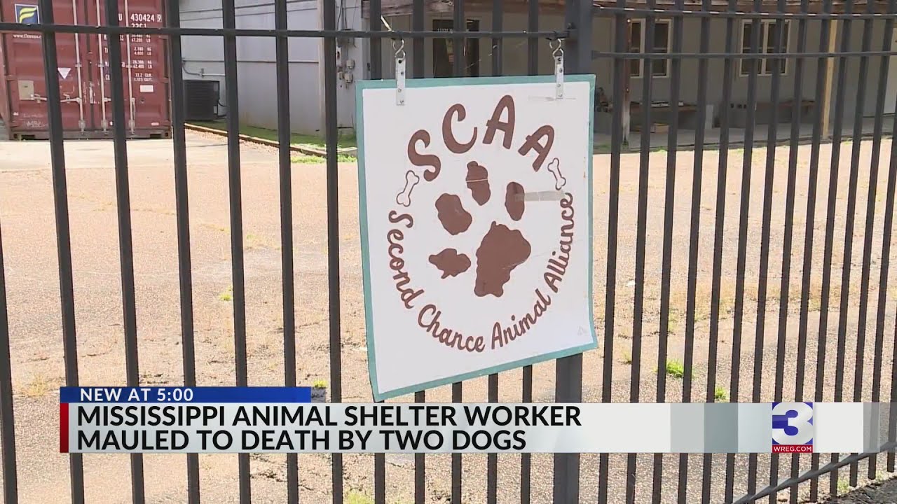 MS man mauled to death by two dogs at animal shelter - YouTube