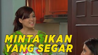 Mau makanmalah dikasi ikan hidup | SKETSA