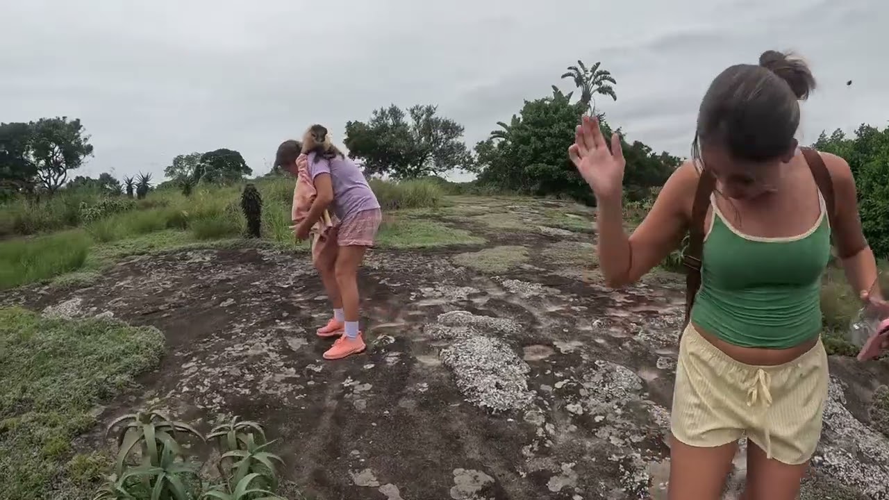 South Coast Adventure