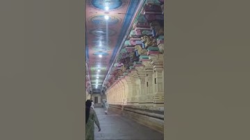 longest corridor among all Hindu temples in India #rameshwaramtemple#jyotirling #shivji #shortsvideo