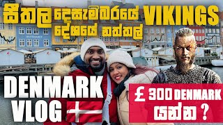 Christmas in Denmark | ඩෙන්මාර්කයේ නත්තල් | Denmark VLOG | #denmarkvlog #sinhalavlogs