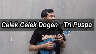 VERSI UKULELE ! CELEK DOGEN - TRI PUSPA II COVER BY DE PANDE BELEK TOKTOK OFFICIAL
