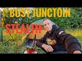 Stealth camping at busy junction stealthcampingalliance cascade wild