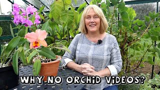 What Happened to my Orchid Collection || Why I Havent Been Making Orchid Videos