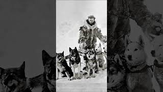 Why Balto is Famous not Togo? | Story Behind the Great Race Of Mercy Hero