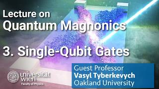Lecture on Quantum Magnonics - Single-Qubit Gates (E3)