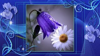 Синие мои цветы Вика Цыганова