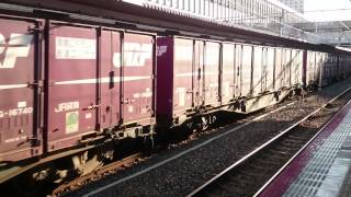 EF210 127牽引 5084レ
