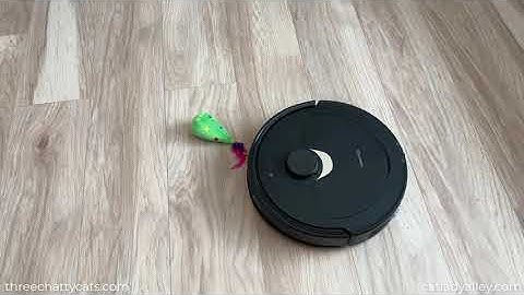 Obstacle Avoidance with Roborock Q Revo