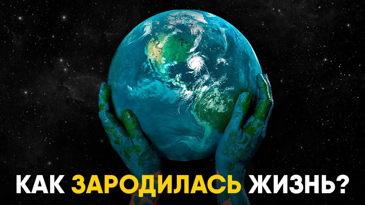 Как на самом деле зародилась жизнь на Земле. История и место появления!