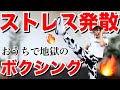【牛地獄の８分】蹴ってパンチしてストレス発散!!!ガチのボクシングエクササイズ!!