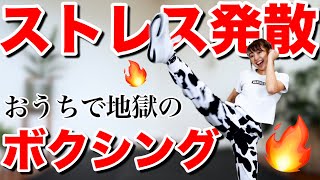 【牛地獄の８分】蹴ってパンチしてストレス発散!!!ガチのボクシングエクササイズ!!