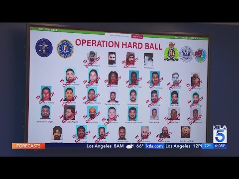 Two dozen suspects tied to transnational crime ring arrested