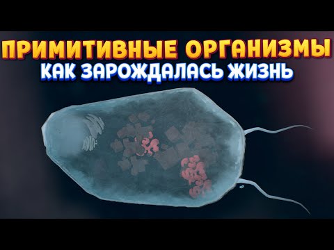 видео: КАК ПОЯВЛЯЛАСЬ ЖИЗНЬ НА ПЛАНЕТЕ ( Thrive )