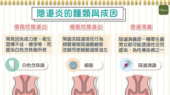 私密处出现搔痒、异味怎么办？3 种常见阴道炎种类有这些｜图解健康动起来 - 天天要闻