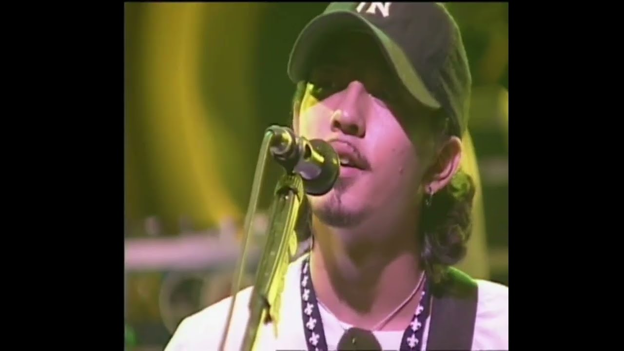 Dark Cherries Dragon Ash