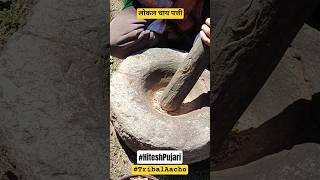 4th Generation || Traditional Chai Patti || Organic Himalayas || Sangla Kinnaur @tribalaacho